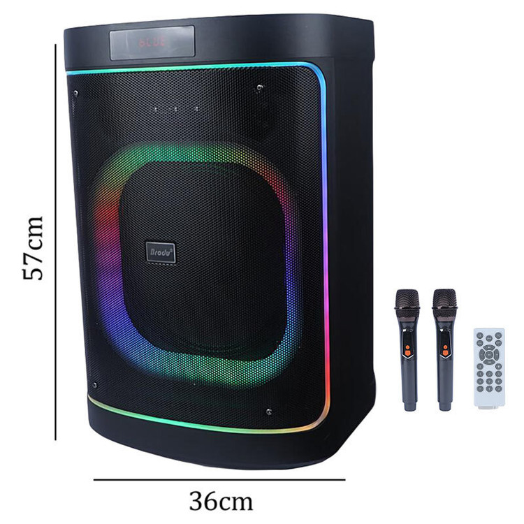 اسپیکر بی سیم برودو مدل BTS-2248
