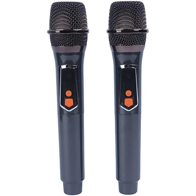 اسپیکر بی سیم برودو مدل BTS-2248